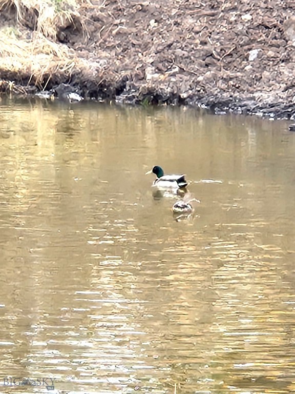 Yellowstone Basin Properties - Land