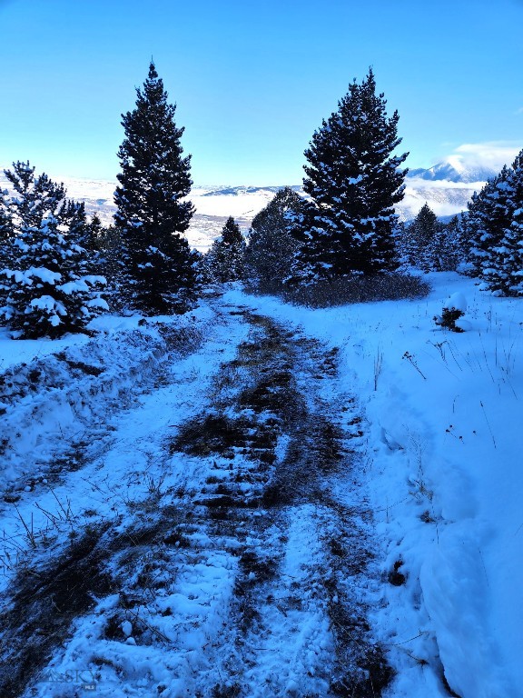 Yellowstone Basin Properties - Land
