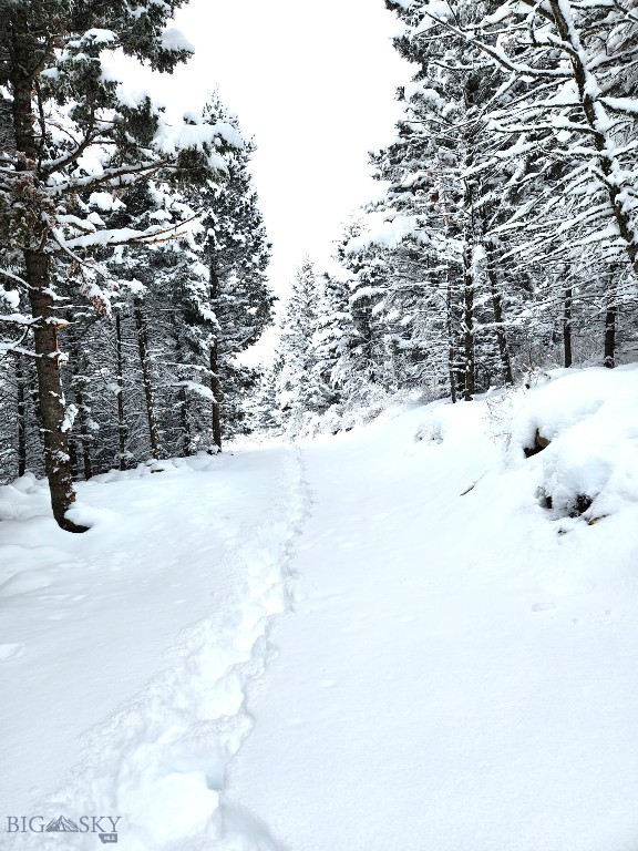 Yellowstone Basin Properties - Land