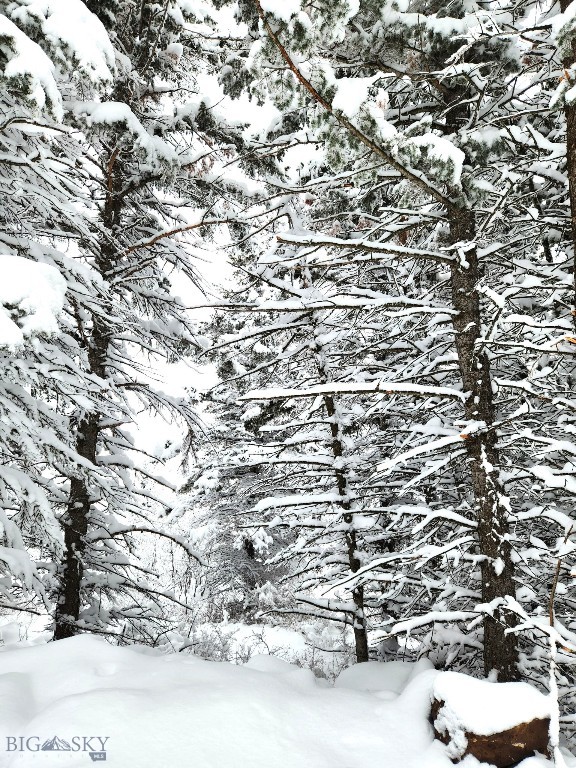 Yellowstone Basin Properties - Land