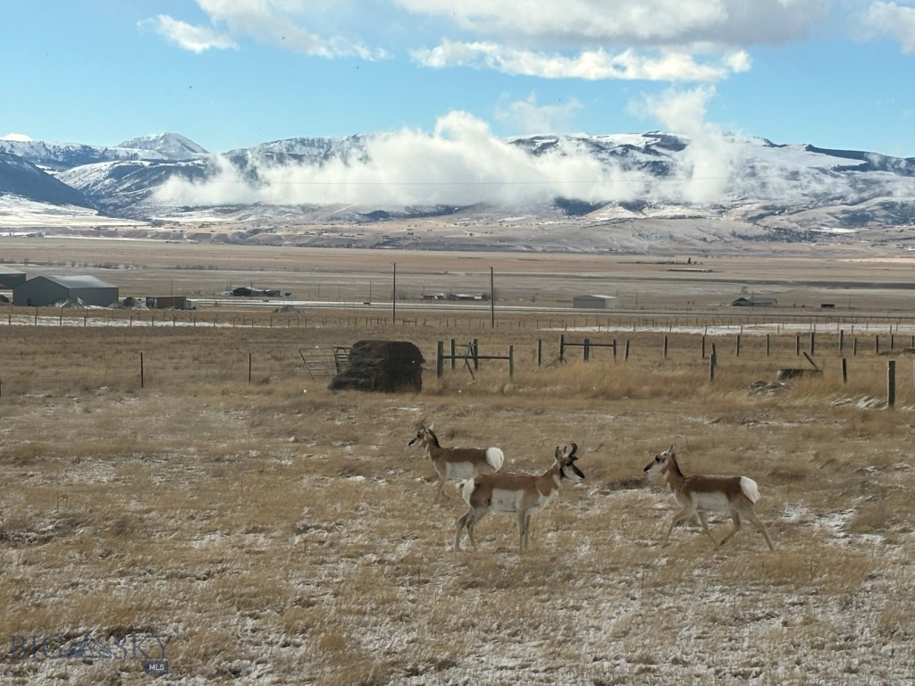 Shining Mountain Airpark - Land