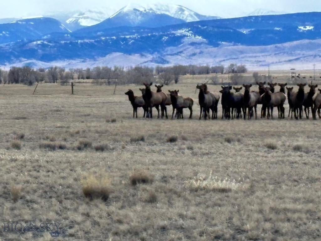 Shining Mountain Airpark - Land