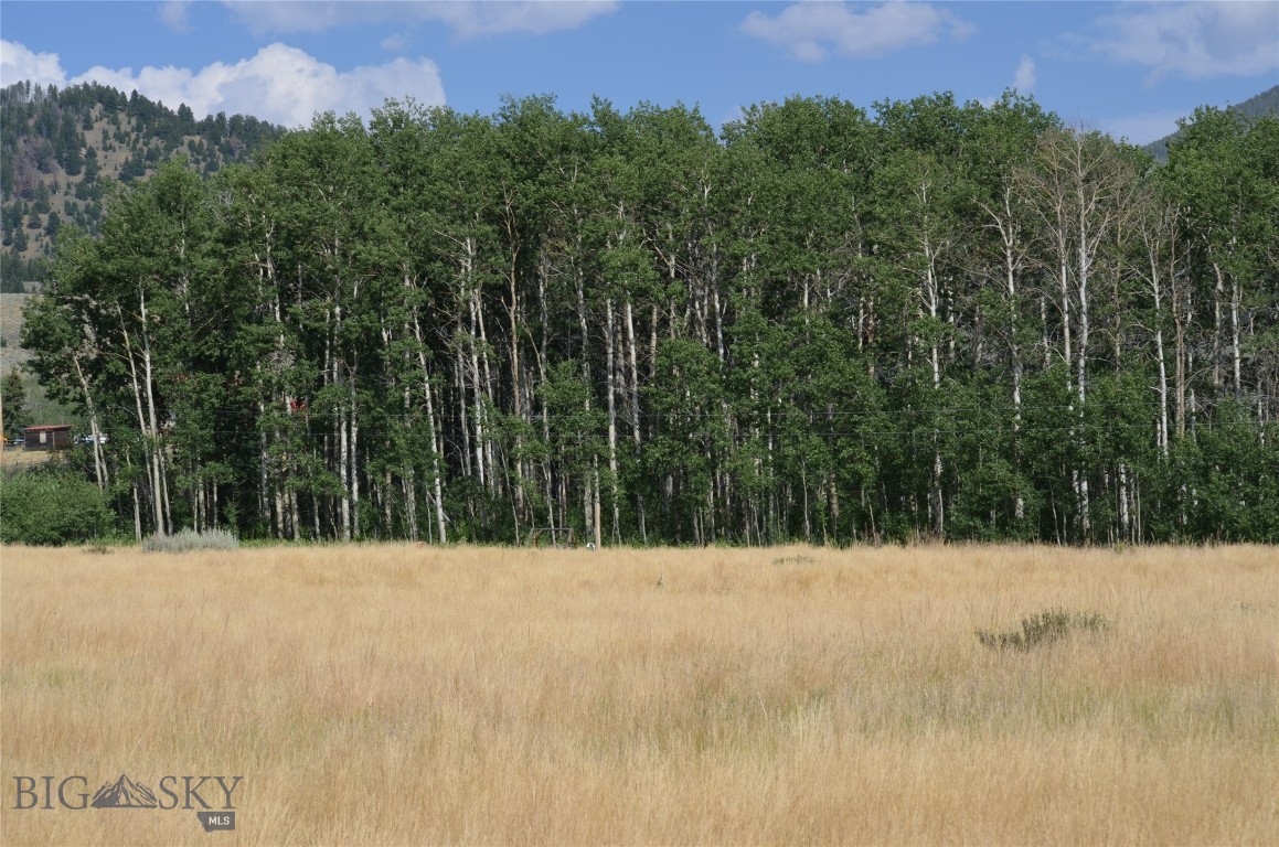 120 Moose Run