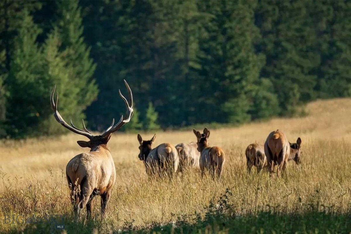 Jefferson Acres - Residential