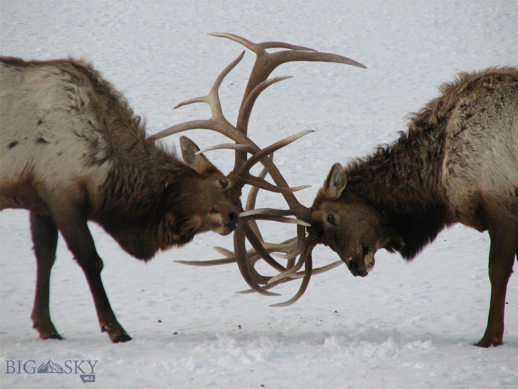 Jefferson Acres - Residential