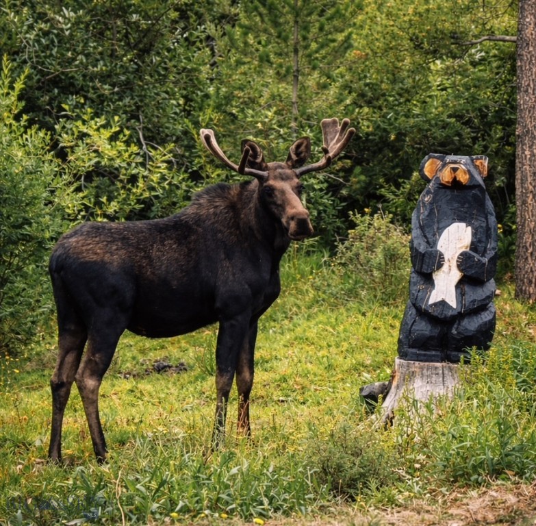 Jefferson Acres - Residential