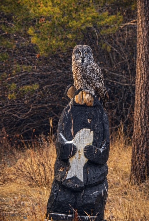 Jefferson Acres - Residential