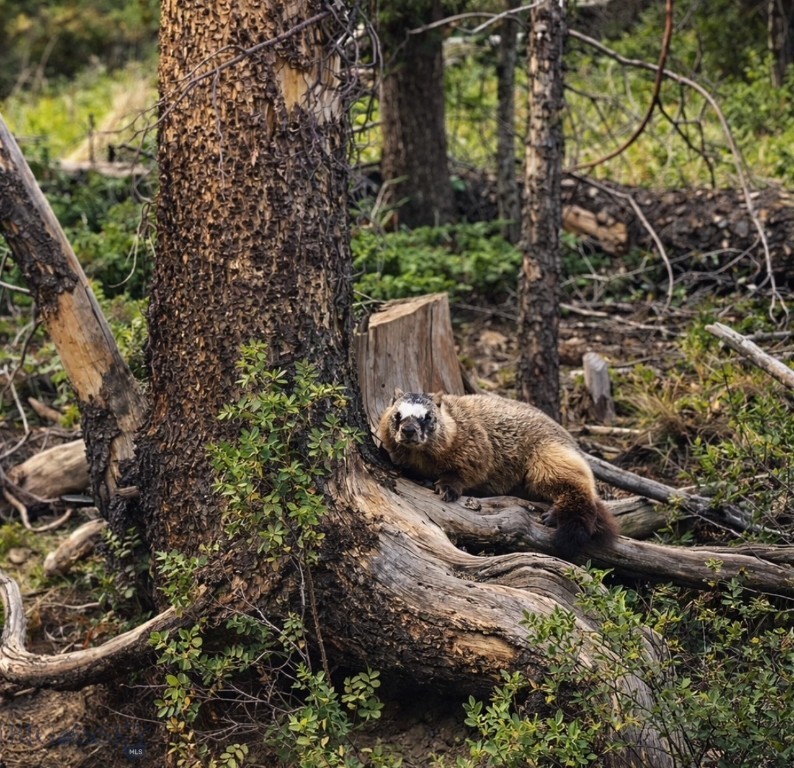 Jefferson Acres - Residential