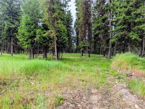 Photo of 304 Seclusion Pt, Seeley Lake, MT 59868 (MLS # 412673)