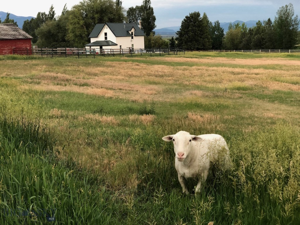 None - Residential Income