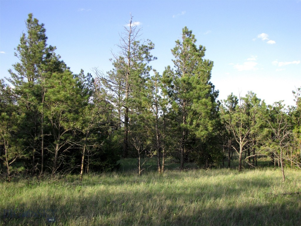 Other - Land