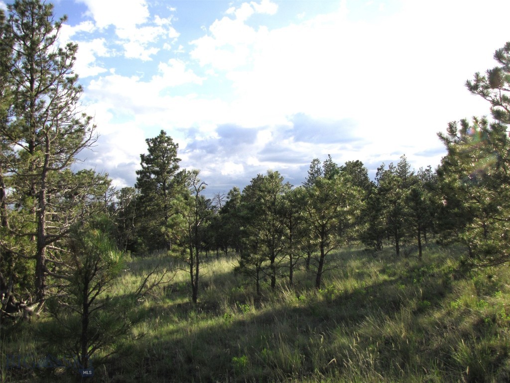 Other - Land