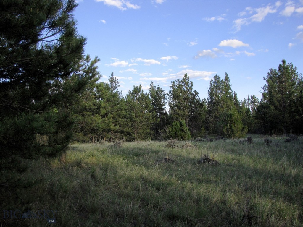 Other - Land