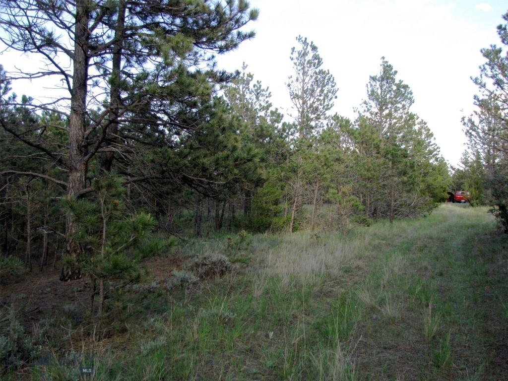 Other - Land