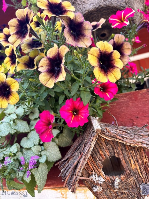 Virginia City Original Plat - Commercial Sale