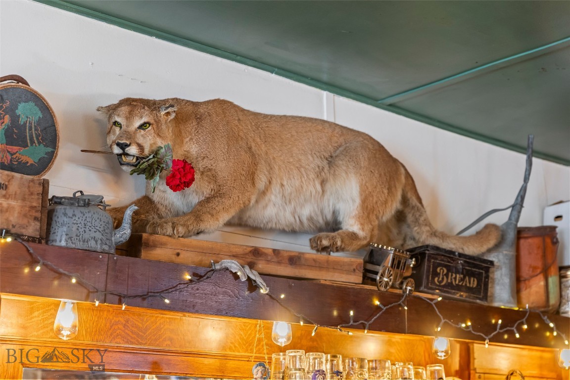 Virginia City Original Plat - Commercial Sale