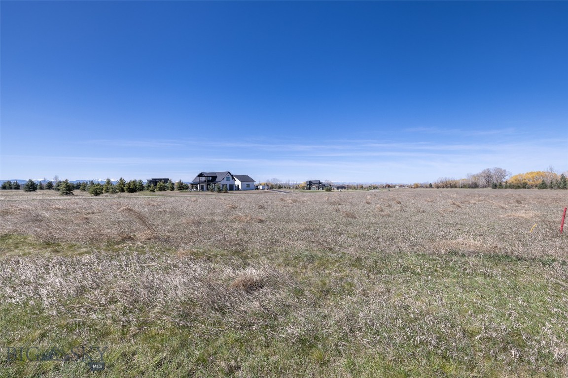 Bridger Lake Meadows - Land