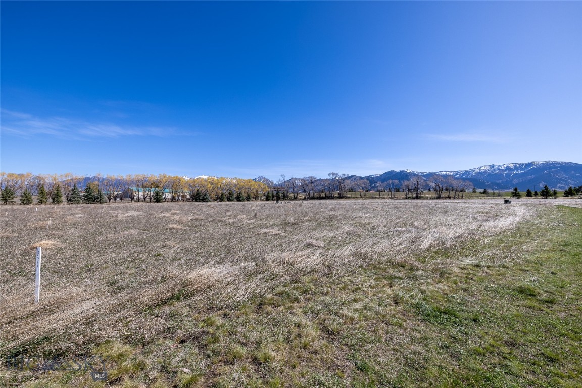 Bridger Lake Meadows - Land