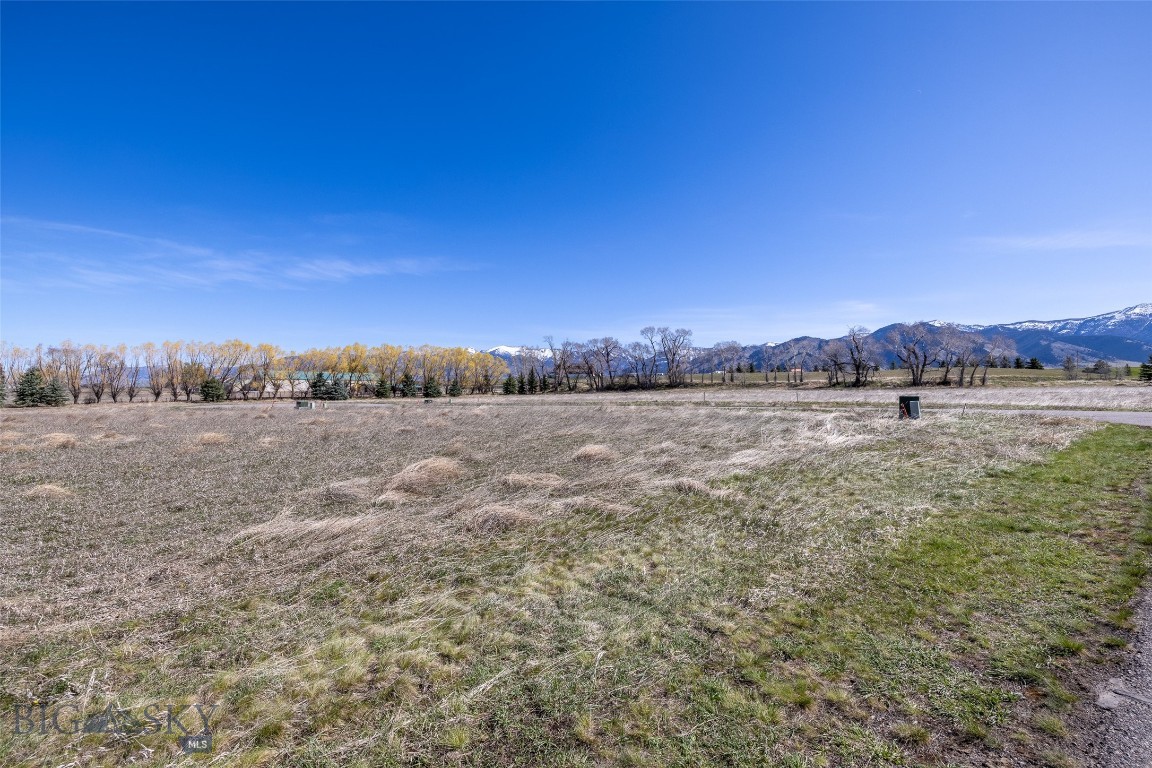 Bridger Lake Meadows - Land