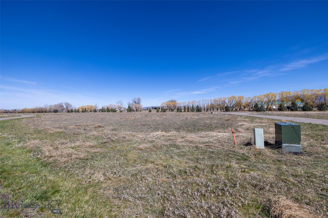 Bridger Lake Meadows - Land