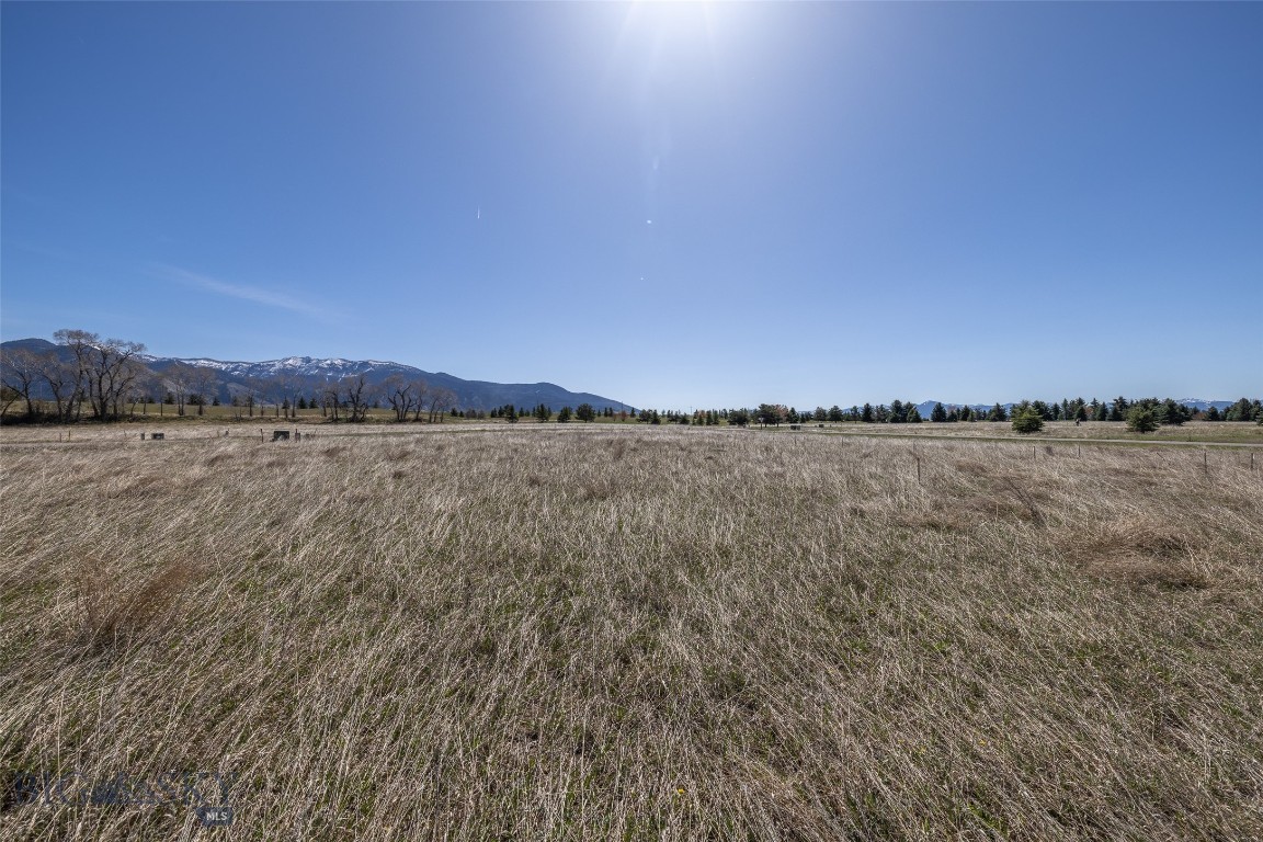 Bridger Lake Meadows - Land