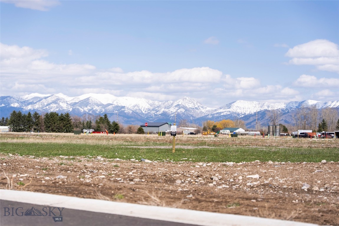 Gallatin Meadows - Land