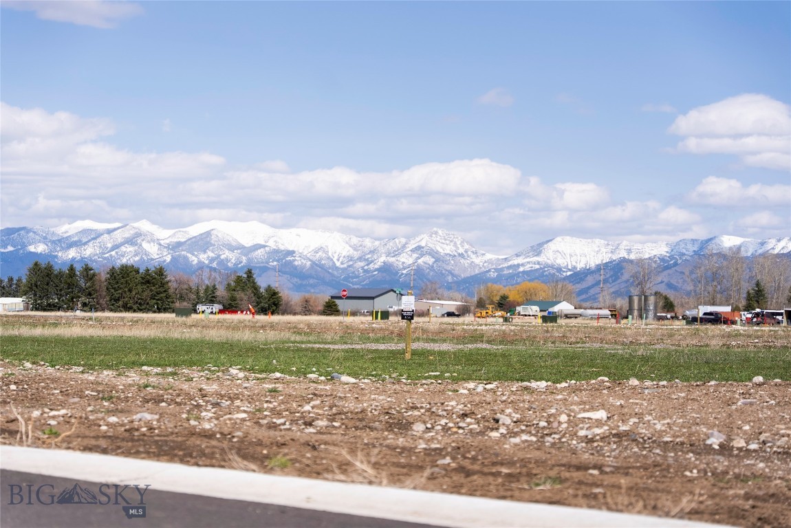 Gallatin Meadows - Land
