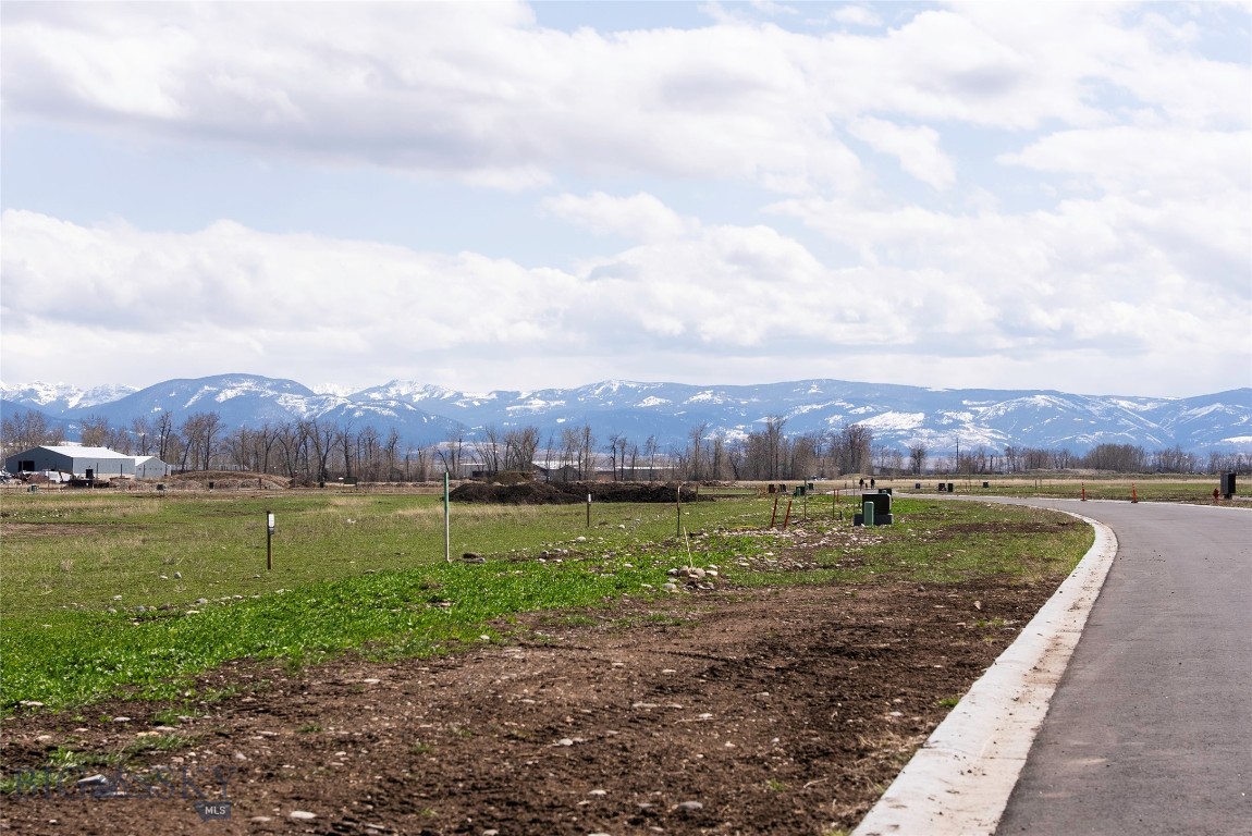 Gallatin Meadows - Land