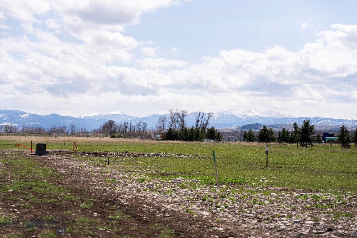 Gallatin Meadows - Land