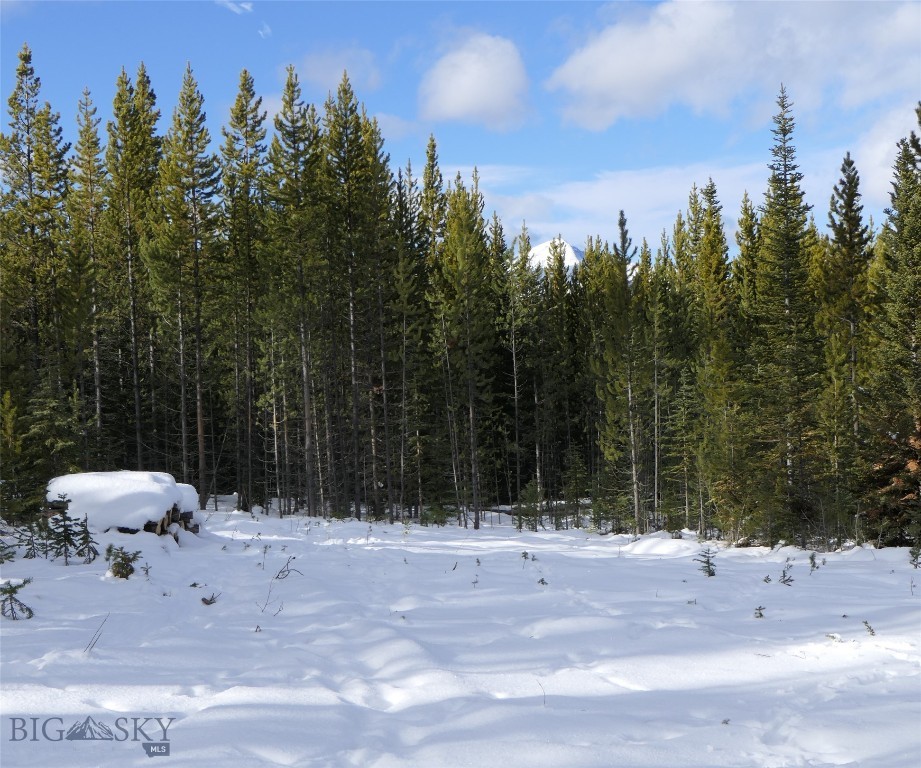 Big Sky, Montana 59716, United States, ,Land,Contingent,73698