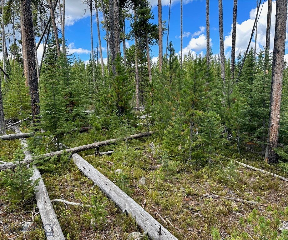 Big Sky, Montana 59716, United States, ,Land,Contingent,73698