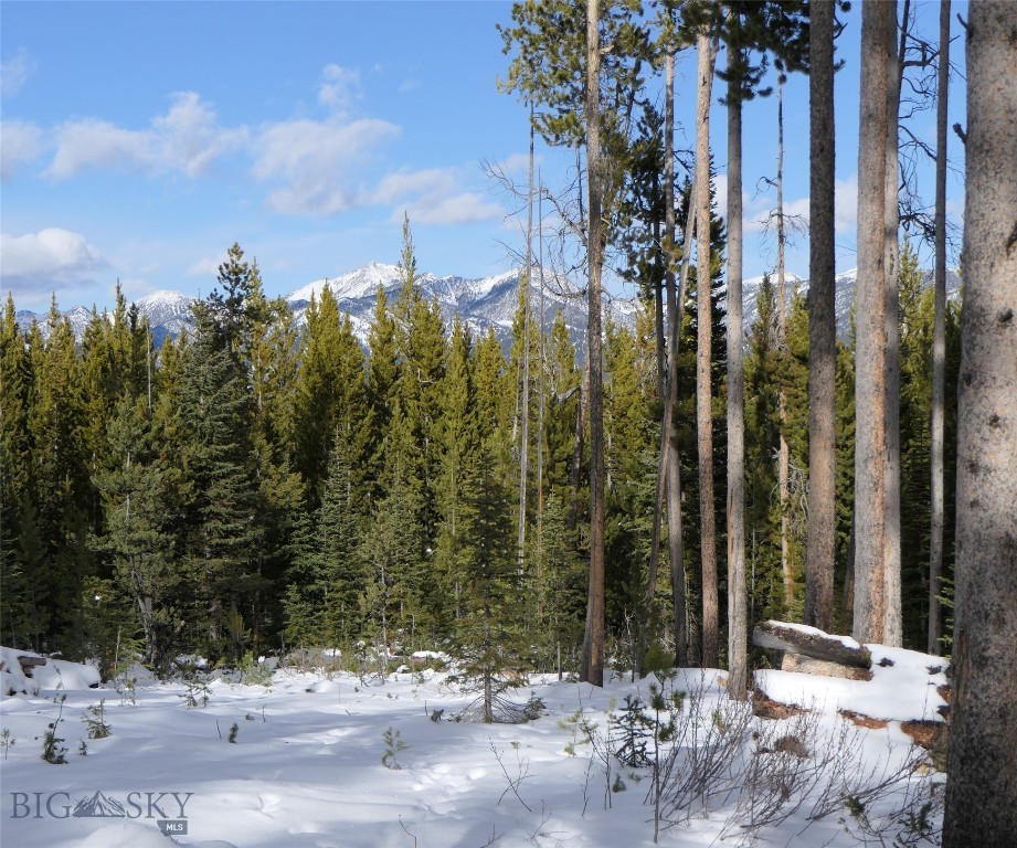 Big Sky, Montana 59716, United States, ,Land,Contingent,73698