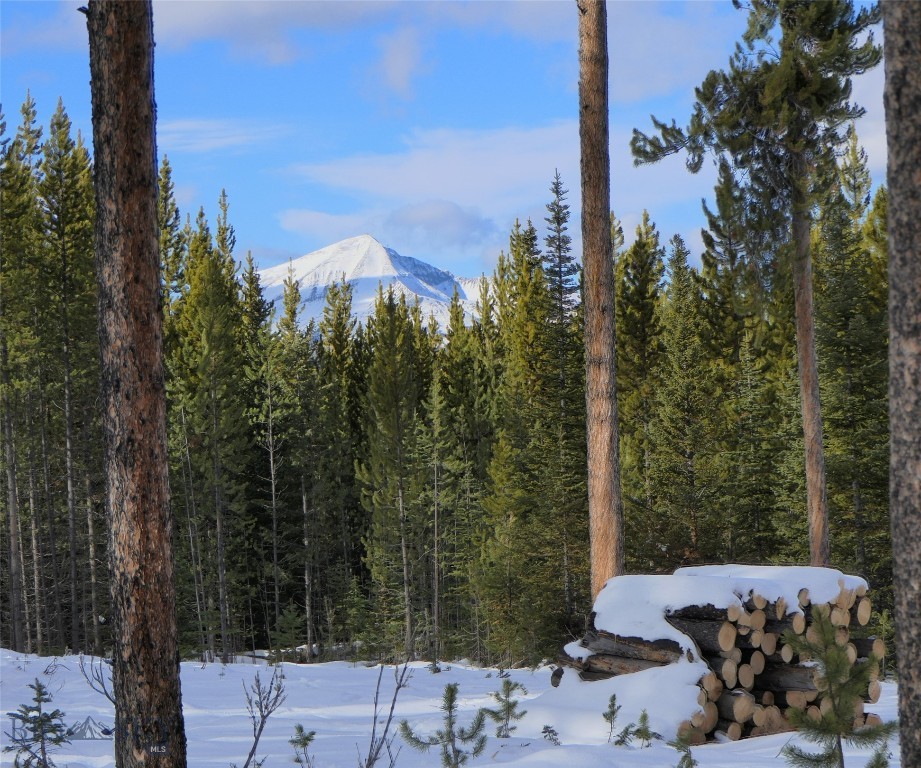 Big Sky, Montana 59716, United States, ,Land,Contingent,73698