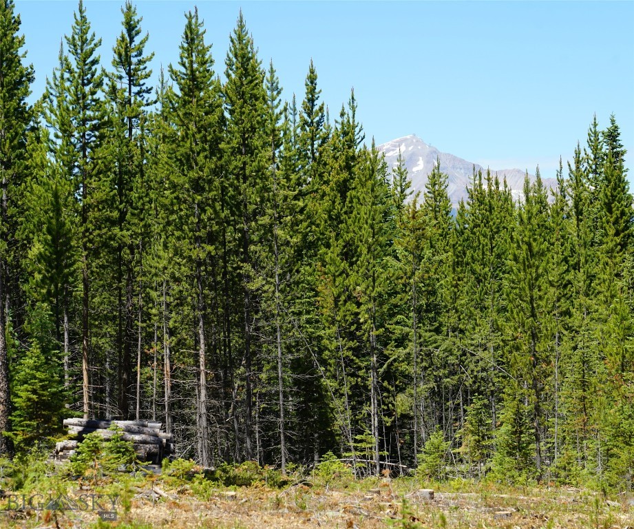 Big Sky, Montana 59716, United States, ,Land,Contingent,73698