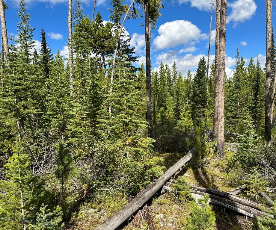 Big Sky, Montana 59716, United States, ,Land,Contingent,73698