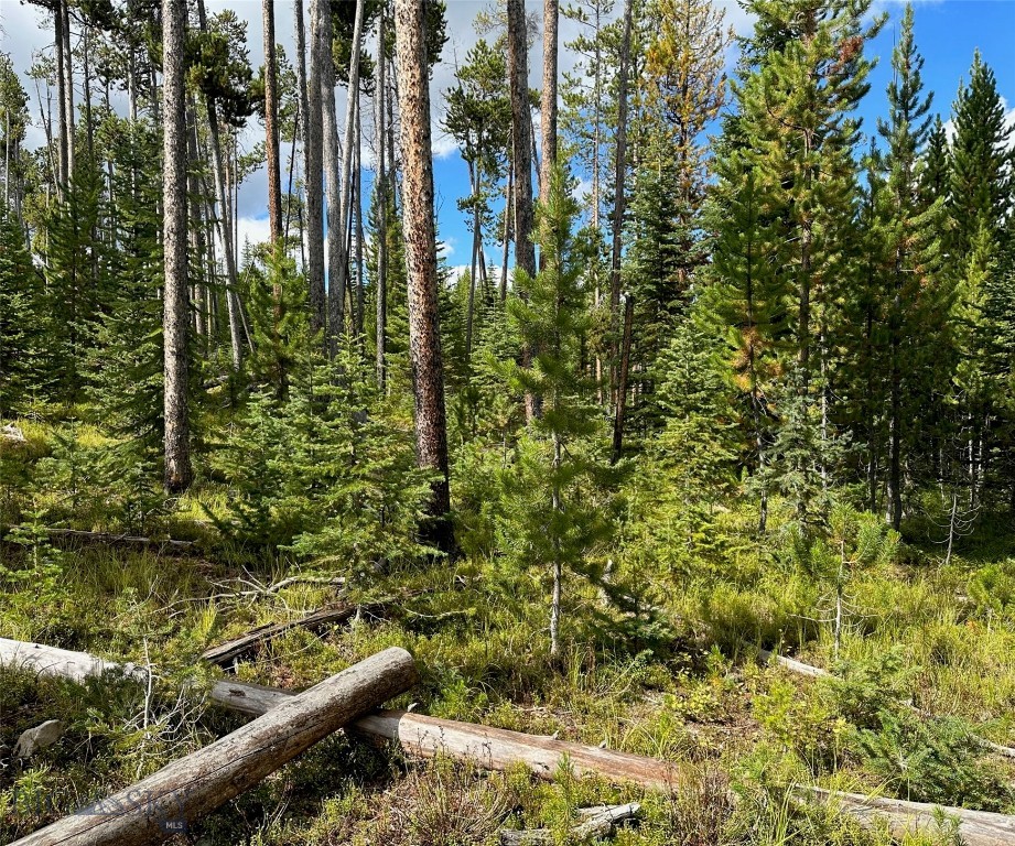 Big Sky, Montana 59716, United States, ,Land,Contingent,73698