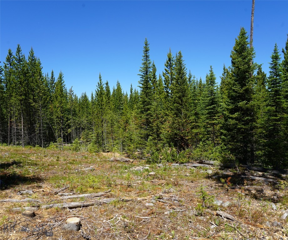 Big Sky, Montana 59716, United States, ,Land,Contingent,73698