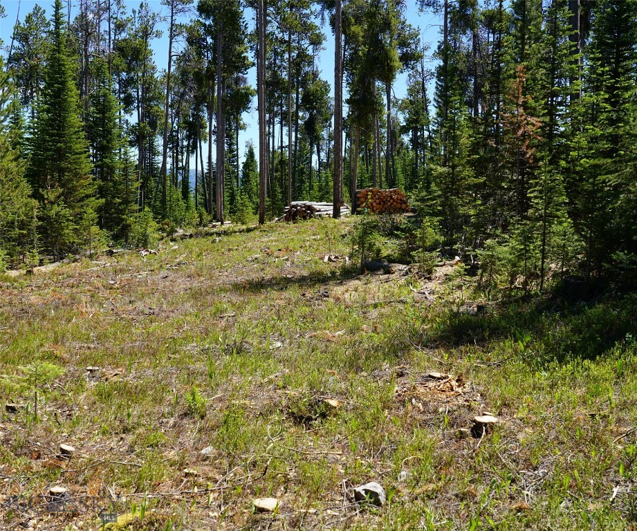 Big Sky, Montana 59716, United States, ,Land,Contingent,73698