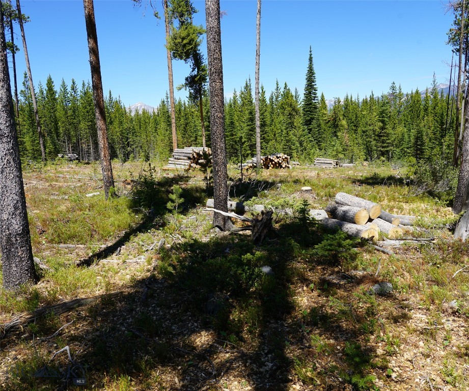 Big Sky, Montana 59716, United States, ,Land,Contingent,73698