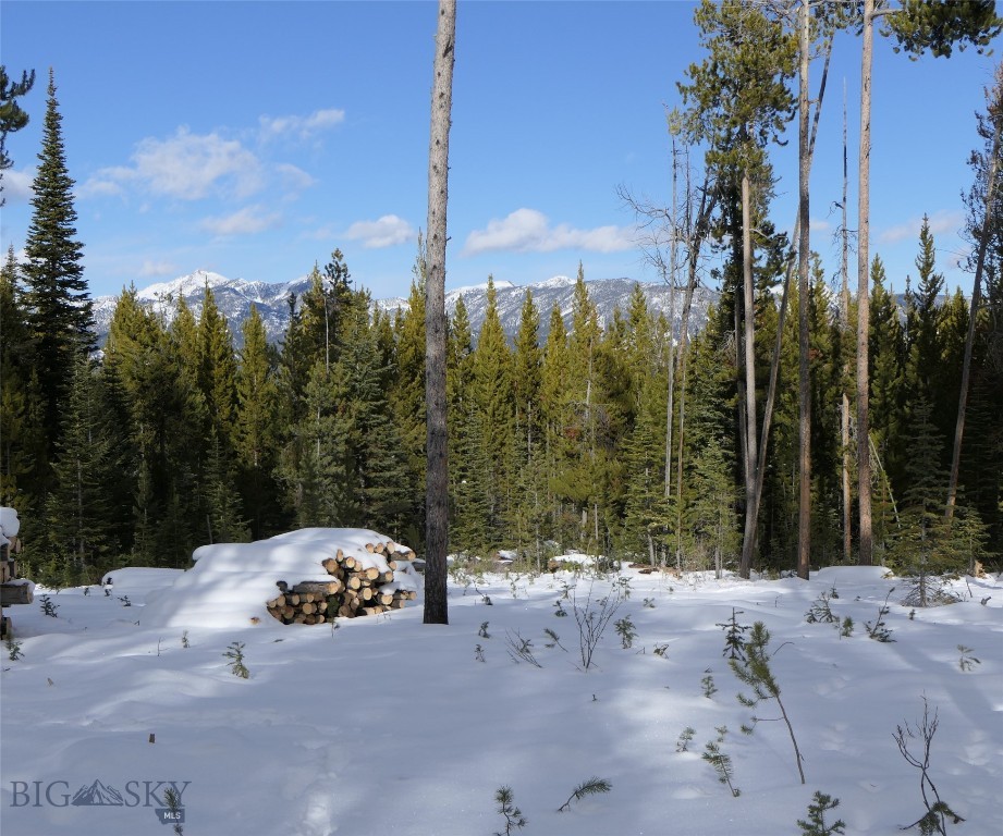 Big Sky, Montana 59716, United States, ,Land,Contingent,73698