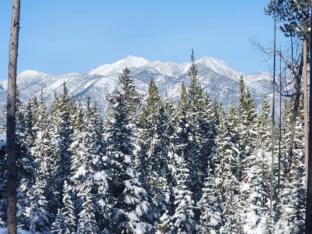 Big Sky, Montana 59716, United States, ,Land,Contingent,73698