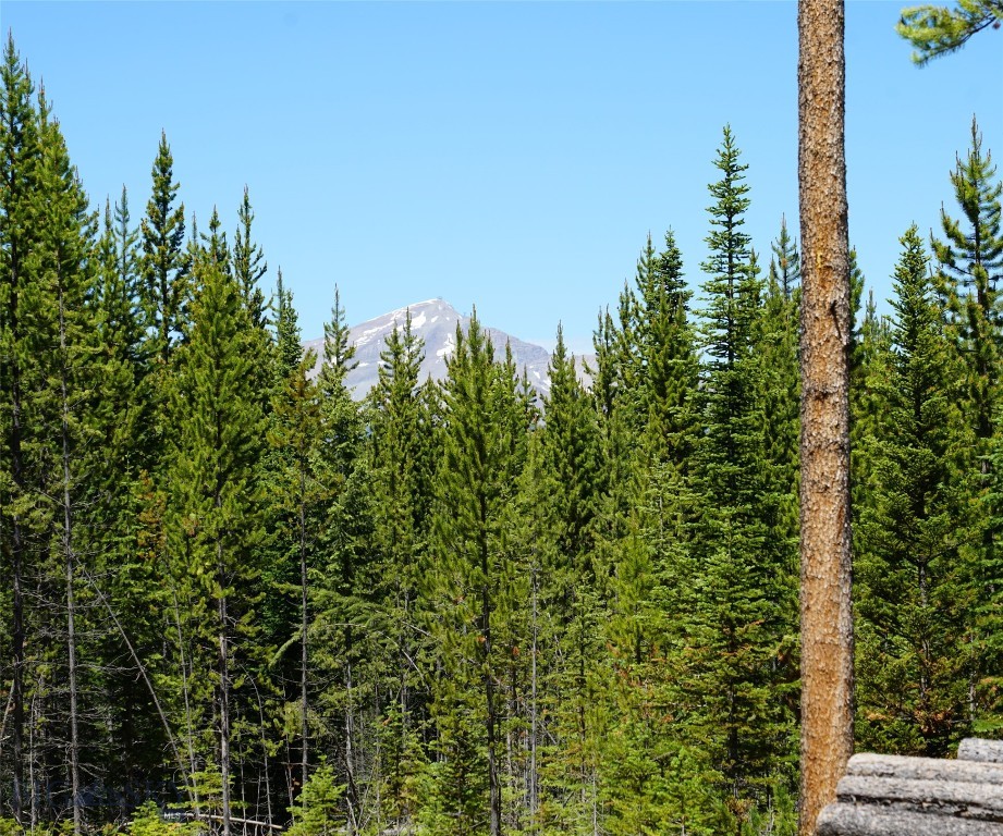 Big Sky, Montana 59716, United States, ,Land,Contingent,73698