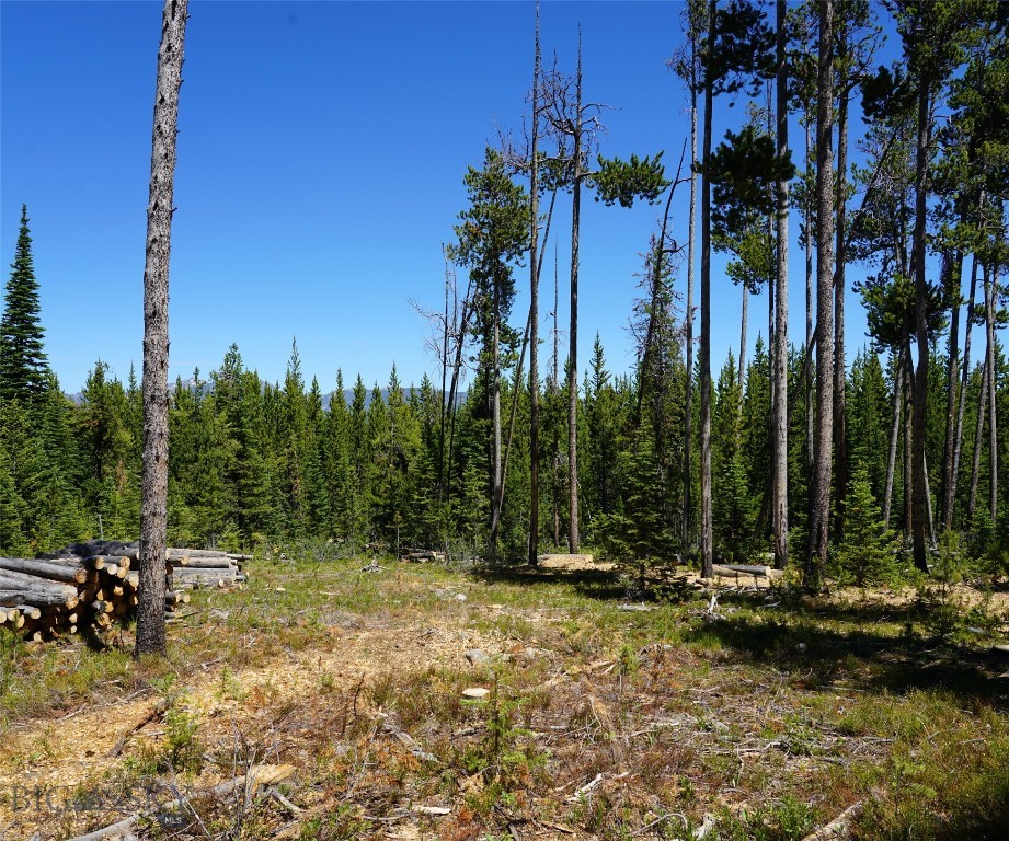 Big Sky, Montana 59716, United States, ,Land,Contingent,73698