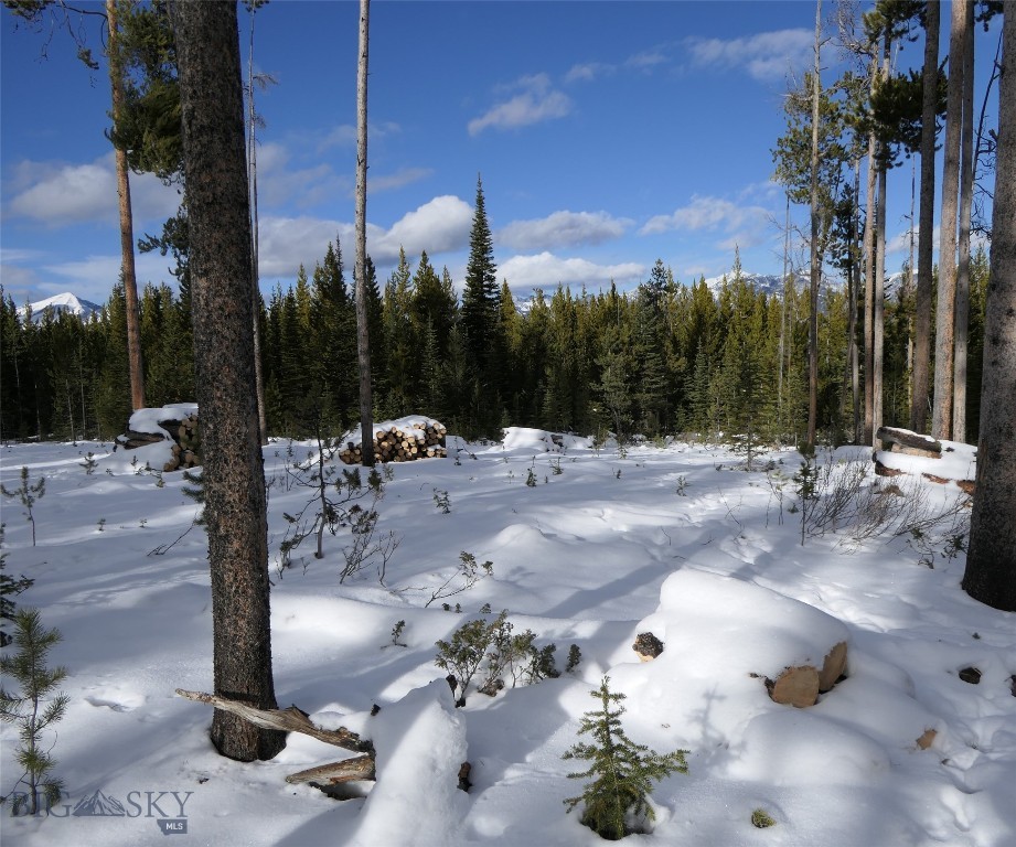 Big Sky, Montana 59716, United States, ,Land,Contingent,73698
