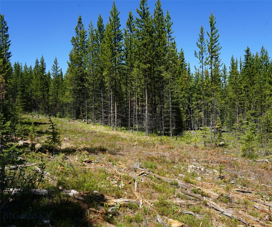 Big Sky, Montana 59716, United States, ,Land,Contingent,73698