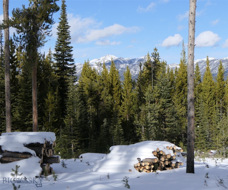 Big Sky, Montana 59716, United States, ,Land,Contingent,73698