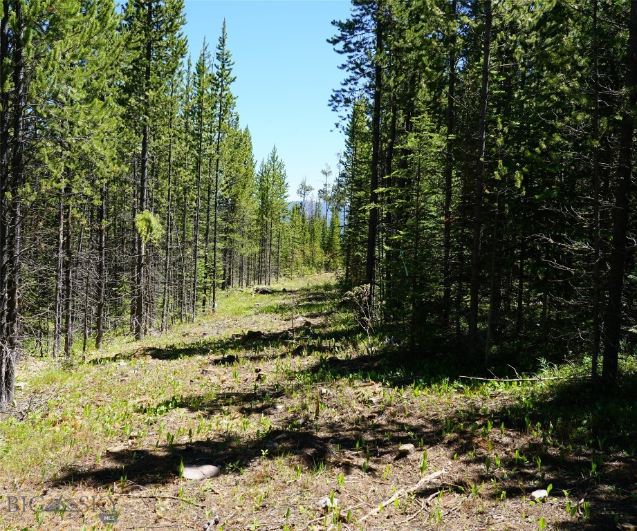 Big Sky, Montana 59716, United States, ,Land,Contingent,73698