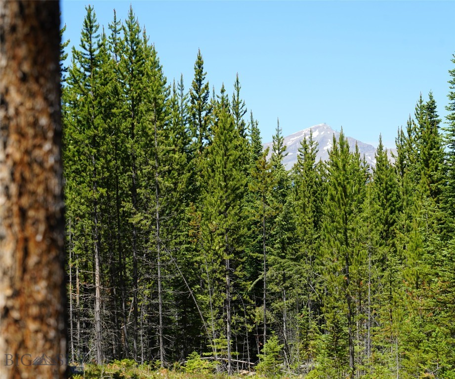 Big Sky, Montana 59716, United States, ,Land,Contingent,73698