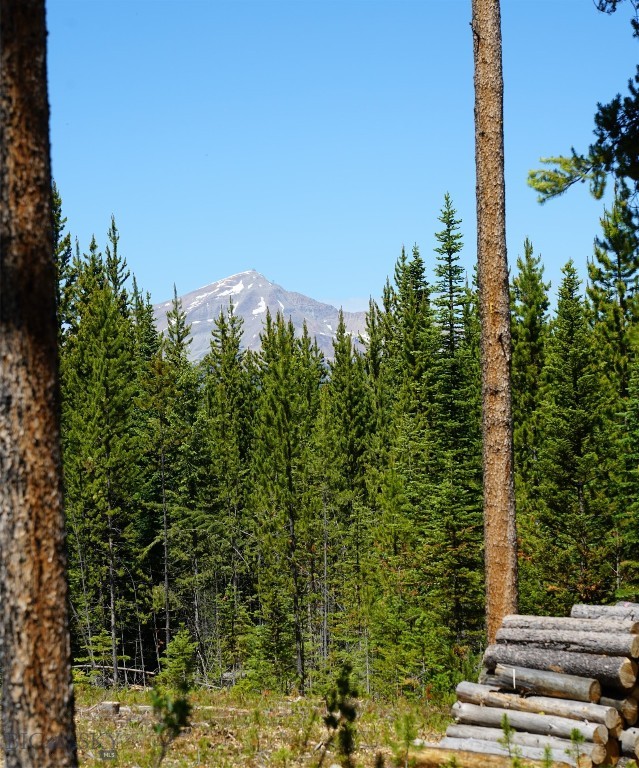 Big Sky, Montana 59716, United States, ,Land,Contingent,73698