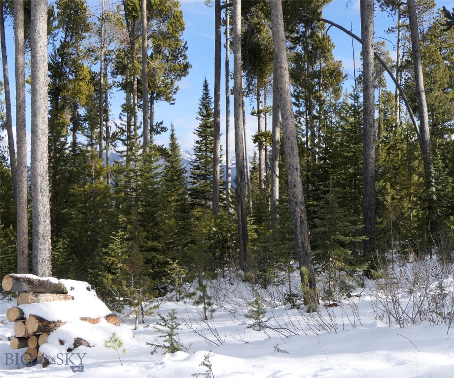 Big Sky, Montana 59716, United States, ,Land,Contingent,73698